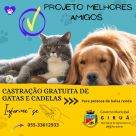Projeto Melhores Amigos deverá castrar de forma gratuita em Giruá